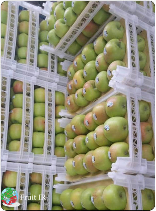 Iran apple for export packed in basket, apple supplier