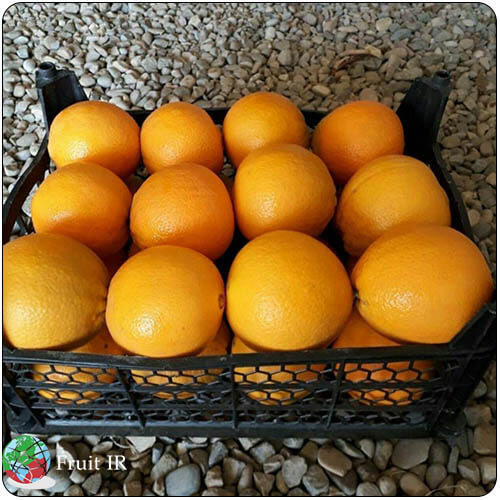 Iran orange in basket, Iran orange supplier