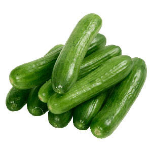 fresh Iranian Cucumber ready for export and wholesale, Iran Cucumber exporter and supplier