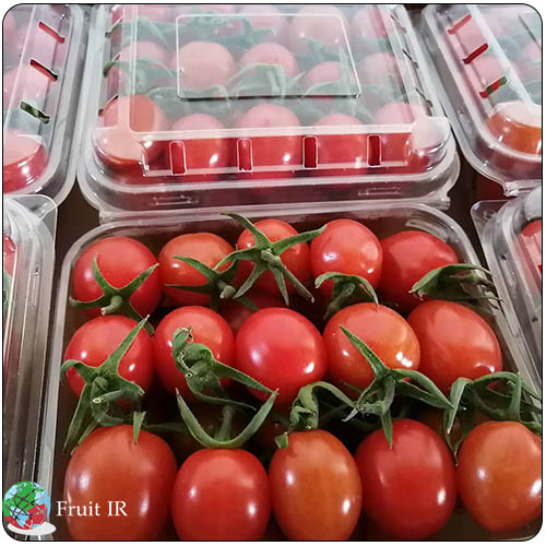 Iran cherry tomato for export, cherry tomato supplier