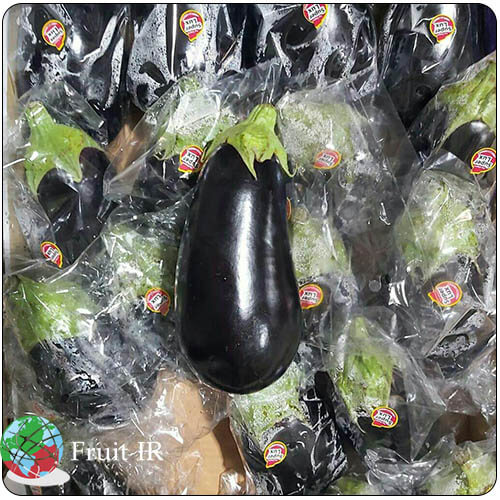 Iranian Eggplant individually sealed for export, Eggplant Supplier
