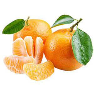fresh Iranian mandarin ready for export and wholesale, Iran mandarin exporter and supplier