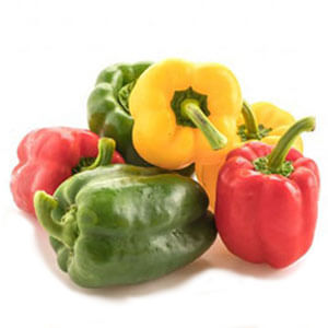 fresh colorful bell pepper from Iran, a fresh Iranian bell pepper vegetable image that is ready for export, Iran bell pepper exporter and supplier