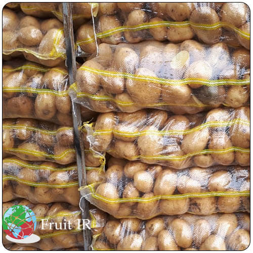 Iran potato export potatoes in bags ready for export, Iran potato exporter