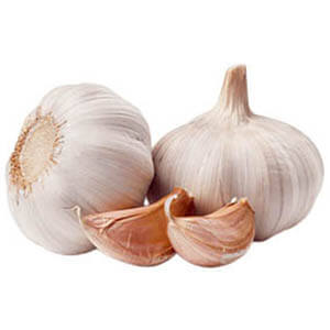 Iranian fresh or freeze garlic with the best quality ready for export with low price, Iran garlic exporter and supplier